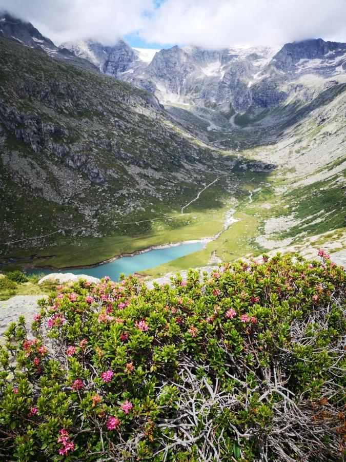 Rifugio Stella Alpina Hotel Saviore dell'Adamello Bagian luar foto
