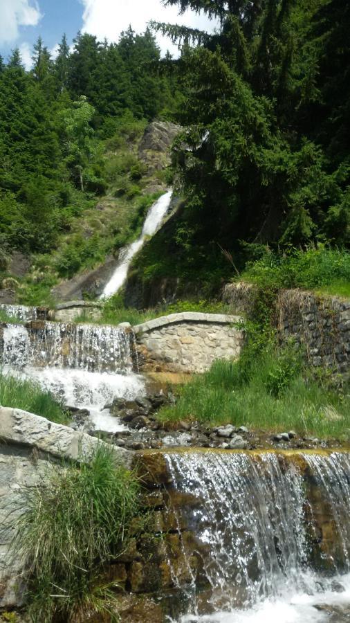 Rifugio Stella Alpina Hotel Saviore dell'Adamello Bagian luar foto