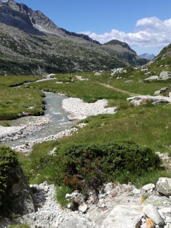 Rifugio Stella Alpina Hotel Saviore dell'Adamello Bagian luar foto