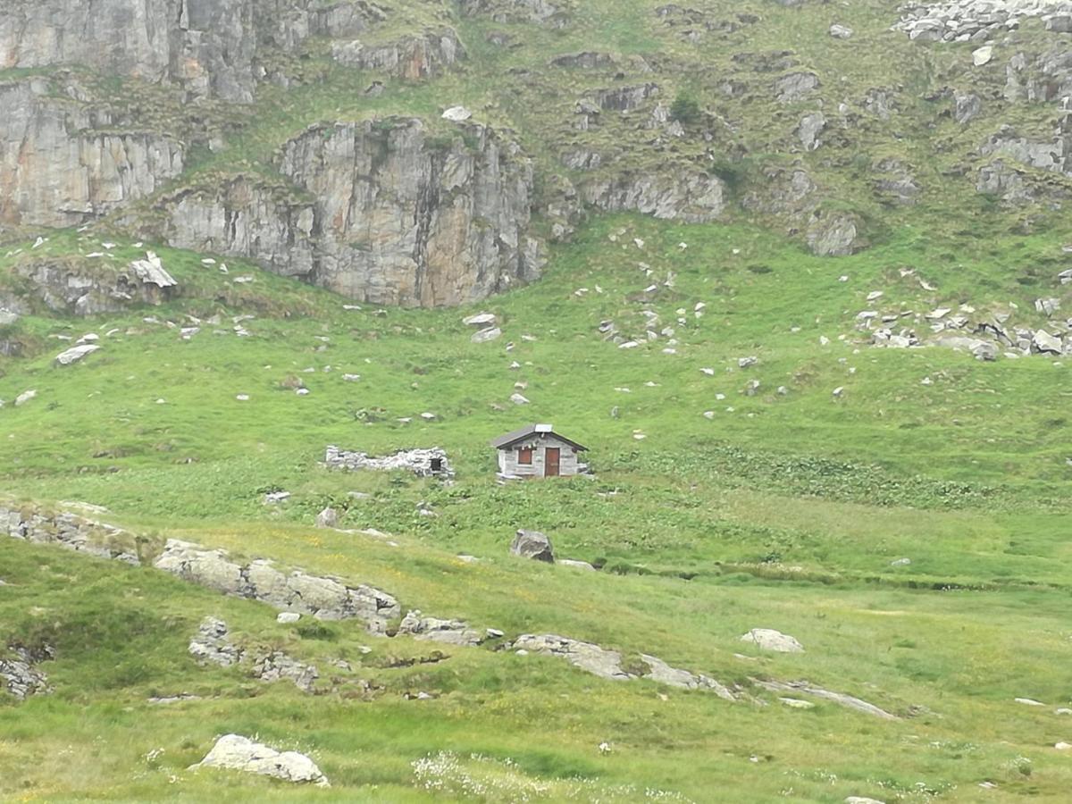 Rifugio Stella Alpina Hotel Saviore dell'Adamello Bagian luar foto